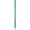 LAPIZ BIC EVOLUTION ECO HB CAJA 12