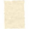 PAPEL PIEL ELEFANTE PERGAMINO 110GR 4011