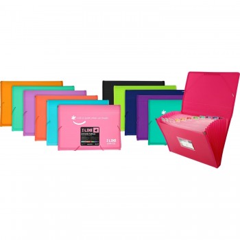 CARPETA CLASIFICADORA NEGRA LIKE2 PP 13DEPAR GRAFOPLAS